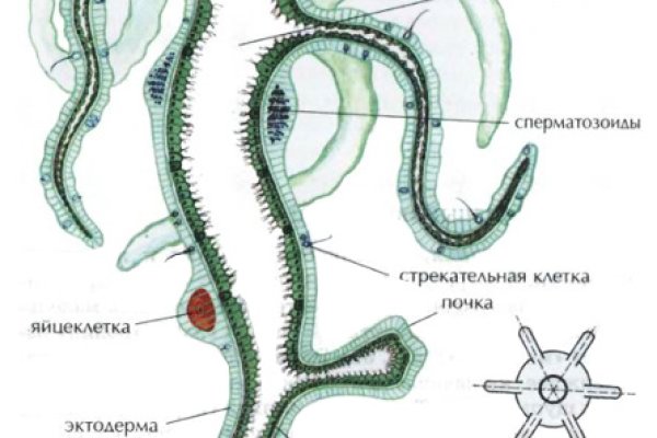 Кракен перестал работать